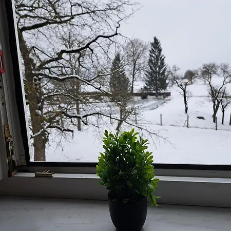 Apartment Am Teich *